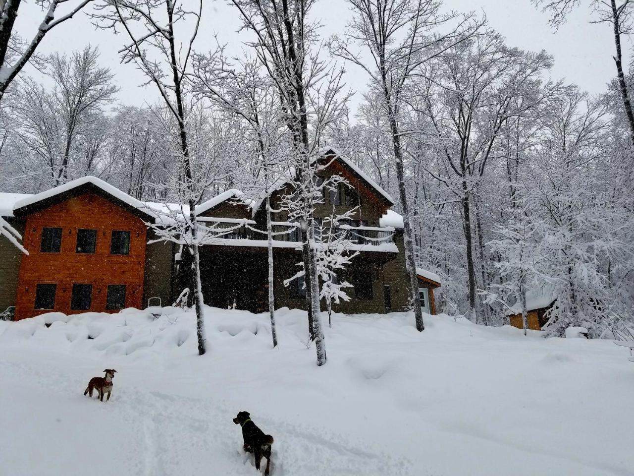 Villa Les Cabines Nordik Des Piles Saint-Jean-des Piles Exterior foto