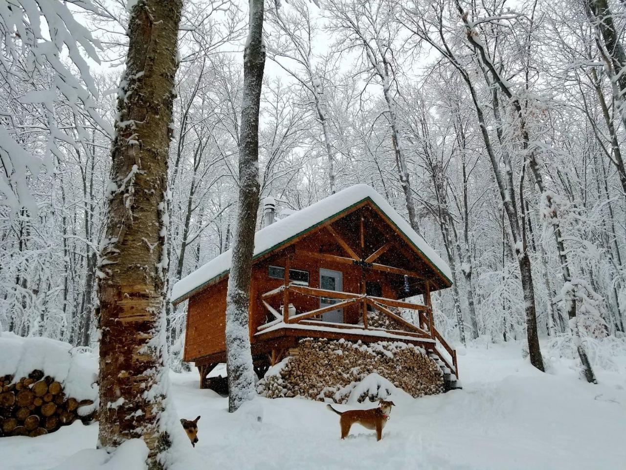 Villa Les Cabines Nordik Des Piles Saint-Jean-des Piles Exterior foto