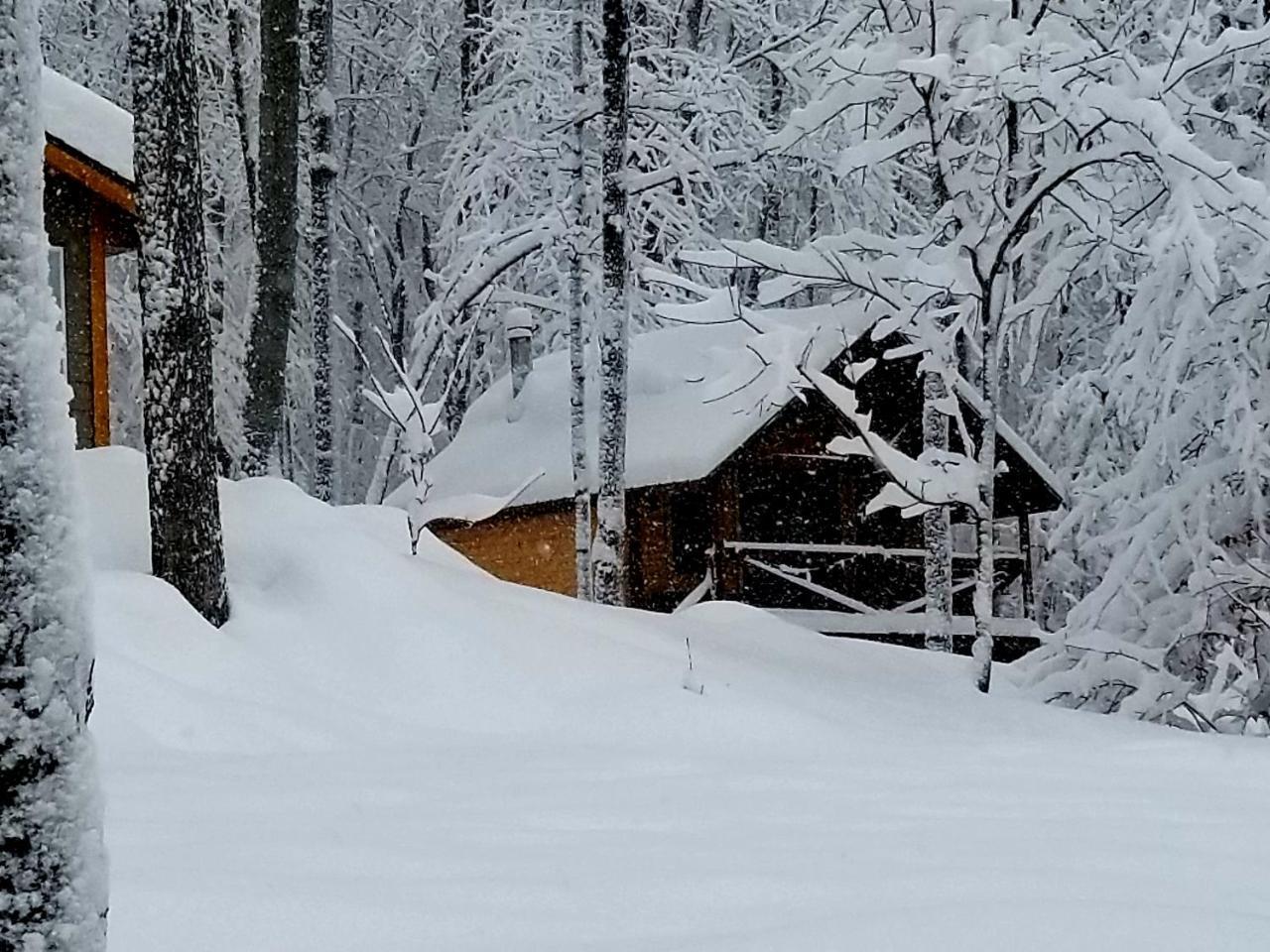 Villa Les Cabines Nordik Des Piles Saint-Jean-des Piles Exterior foto