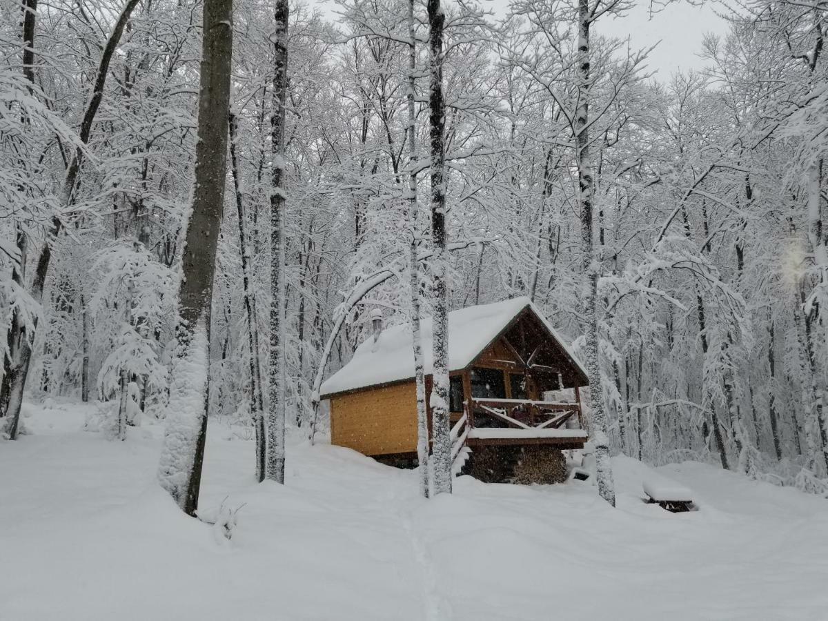 Villa Les Cabines Nordik Des Piles Saint-Jean-des Piles Exterior foto